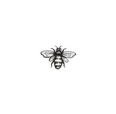 a black and white drawing of a bee