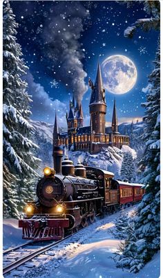 Advent Pictures, Harry Otter, Harry Potter Ornaments, Harry Potter Poster, Expecto Patronum, Buku Harry Potter, Fantasy Worlds, Harry Potter Christmas, Harry Potter Wallpaper