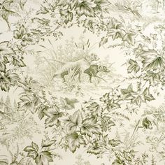 Select BR-69265.491 On Point Hunter by Brunschwig Fils Hunter Wallpaper, Wallpaper For Small Bathrooms, Brunschwig And Fils, Bungalow Ideas, Eclectic Wallpaper, Insects Theme, Insect Print, Green Animals, Concept Home