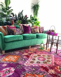 a living room filled with furniture and lots of plants on top of a colorful rug