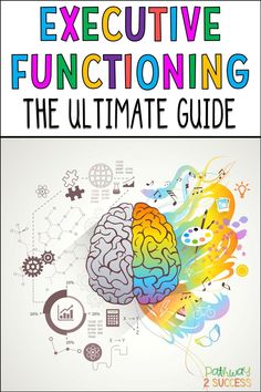 the ultimate guide to executive functions for effective functioning and well - organized brain development, including