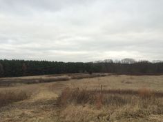 an empty field with trees in the background