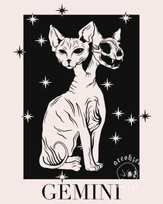 a black and white drawing of a cat with stars in the background