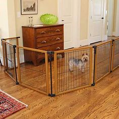 a small dog is in the gated area next to a dresser and chest of drawers