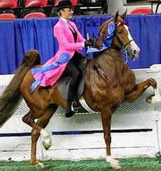 a woman riding on the back of a brown horse next to a blue wall and red chairs