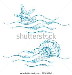 two seashells and starfish in the ocean with waves, hand drawn illustration