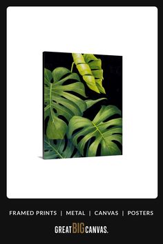 a painting of green leaves on a black background with the words framed prints metal canvass posters