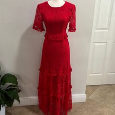 Long Dress Maxi Size 2 Red Short Sleeve Maxi Dress For Party, Red Lace Maxi Dress For Formal Occasions, Red Lace Midi Dress With Short Sleeves, Red Short-sleeved Lace Dress, Red Short Sleeve Maxi Dress For Evening, Lace Bodycon Midi Dress, Black Bandage Dress, Sequin Sheath Dress, Mesh Bodycon Dress