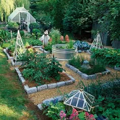 a garden with lots of different types of plants and flowers in the middle of it