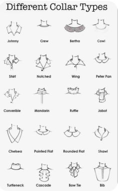 different collar types and their meanings