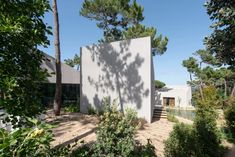 the house is surrounded by trees and bushes, with its shadow cast on the wall