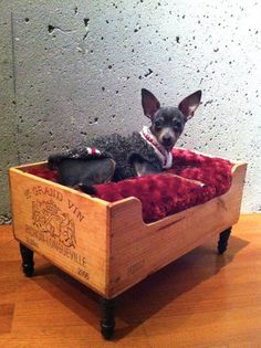 a small dog sitting in a wooden crate