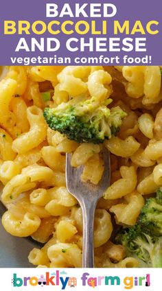 closeup of mac and cheese with broccoli baked in Mac And Cheese Simple, Broccoli Mac And Cheese Recipe, Pasta Side Dish, Broccoli And Cheese Recipe, Broccoli Mac And Cheese, Elbow Noodles, Baked Broccoli, Pasta Side, Broccoli Dishes