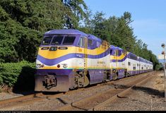 a yellow and blue train traveling down tracks next to some green trees on a sunny day