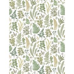 a green and white wallpaper with various plants on it, including leaves and flowers