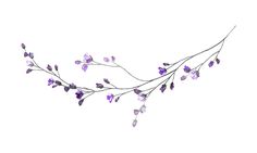 purple flowers are hanging from a branch on a white background