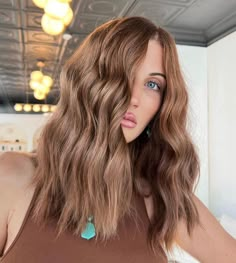 Light Bronze Brown Hair with Metallic Shine Golden Bronze Hair Color, Light Brown Hair Dye, Light Golden Brown Hair, Light Brown Balayage, Brown Hair Inspiration, Bronze Hair, Dip Dye Hair, Brown Hair Dye