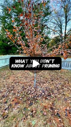 a sign that says what you didn't know about pruning on it