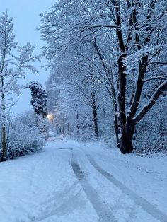 a snow covered road with trees on both sides and street lights at the end in the distance