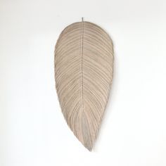 a white wall with a large leaf hanging on it