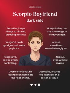 the info sheet for scorpion boyfriend dark side