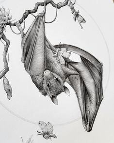 a drawing of a bat hanging upside down on a tree branch with butterflies around it