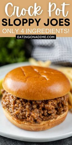 a close up of a sloppy joe sandwich on a plate with fries in the background