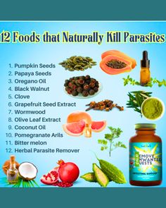 Best foods for Parasite #cleansing: No one wants #parasites, They feed off you, Consume your energy, Don’t be a host for them, Eat more raw garlic, pumpkin seeds, pomegranates, beets & carrots, all of which have been used traditionally to kill parasites  #cleansing #skincare #healing #love #beauty #skincareroutine What Kills Parasites, Foods That Kill Parasites, Parasitic Cleanse, Cleansing Skincare, Beets Carrots, Papaya Seeds, Parasite Cleanse, Body Detoxification, Grapefruit Seed Extract