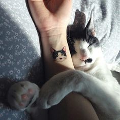 a person with a cat tattoo on their left wrist and the other hand behind them