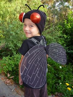 a young boy wearing a costume made to look like a bug with two apples on it's wings