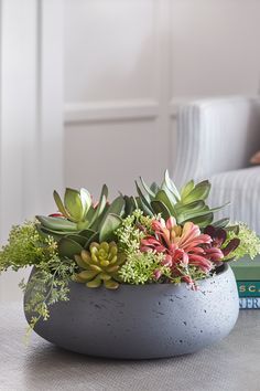 there is a potted plant on the table with some books in front of it