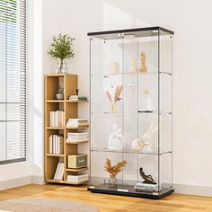 a glass display case filled with lots of different types of items on shelves next to a window