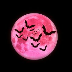 a full moon with bats flying over it