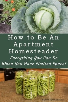 three jars filled with green beans sitting on top of a counter next to a head of cabbage