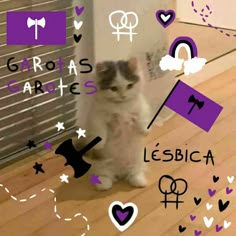 Meme de gatinho com bandeira lésbica. Ao seu redor há desenhos de corações, machados, estrelas, duplo vênus, linhas pontilhadas e arco íris. Lesbian Meme, Lgbt Humor, Radical Feminism, Phineas And Ferb, Owl House, Supernatural, Geek Stuff, Kitty