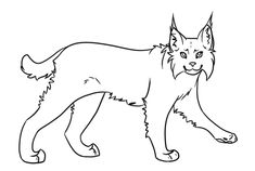 a black and white drawing of a cat on a white background with the words, how to draw a cat