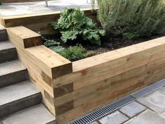 a wooden planter filled with lots of plants on top of cement steps next to stairs