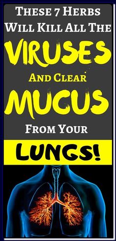 7 HERBS THAT KILL VIRUSES AND CLEAR MUCUS FROM YOUR LUNGS Eliminate Mucus, Clear Mucus, Clear Lungs, Lungs Health, Health Advice, Lungs, Herbal Medicine, Health Remedies, Diet Tips