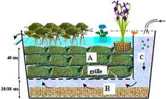 the diagram shows how plants are grown in an underground garden