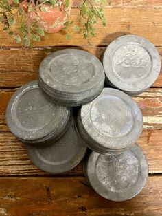 six round tins sitting on top of a wooden table next to a potted plant