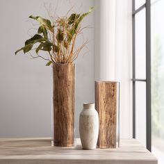 three vases with plants in them sitting on a table