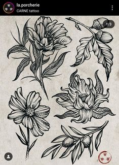 some flowers and leaves are drawn on a piece of paper with the words la porte tattoo