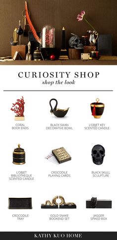 the curiosity shop is open for business to see what's on display in it