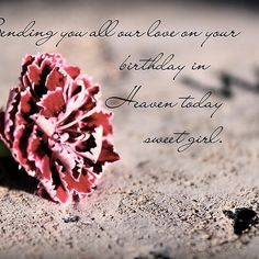 a red and white flower sitting in the sand with a quote on it's side