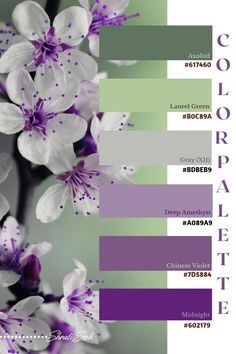 the color scheme for an orchid plant is purple and green, with white flowers on it