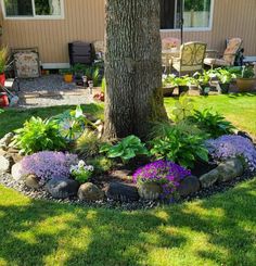 a tree in the middle of a yard with rocks and flowers around it, surrounded by lawn furniture