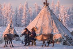 two people standing in front of a teepee with reindeer and other animals around it