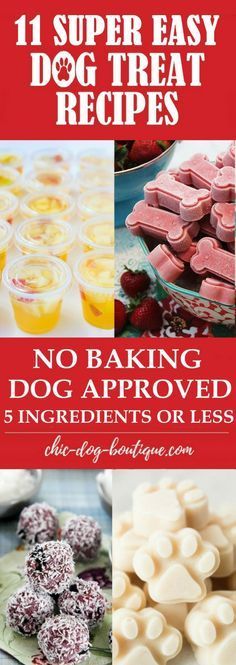 no bake dog approved treats for less than one