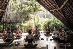 a group of people sitting on top of a wooden floor in front of some trees