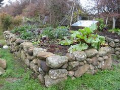 a stone wall with plants growing in it